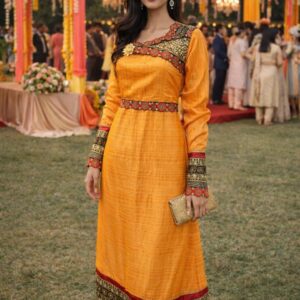 rannivat full sleeves raw silk embroidery dress